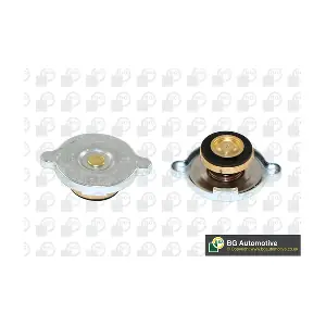BGA CC3053