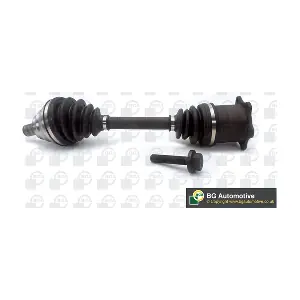 BGA DS0100L