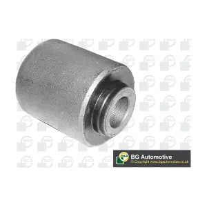 BU4296 BGA