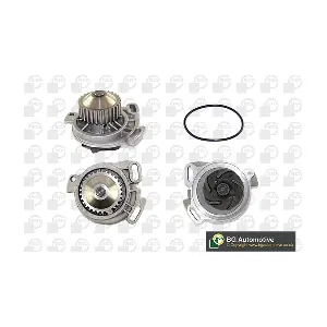BGA CP2606