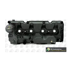 RC01055 BGA