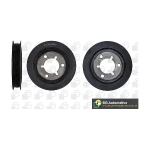 DP1021 BGA
