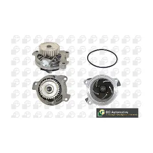 CP18558 BGA