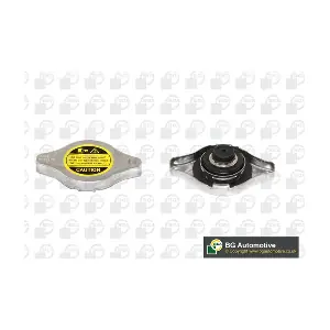 BGA CC3024