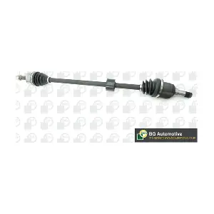 BGA DS2211R
