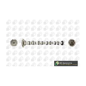 BGA CS2308