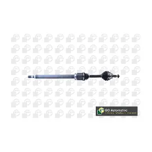 DS9713R BGA