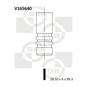 BGA V165640