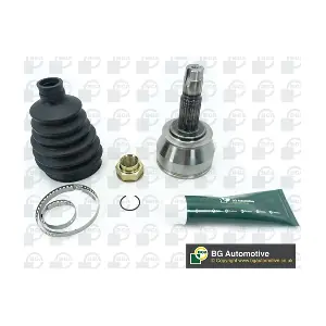 BGA CV0204A