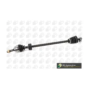 DS2202R BGA
