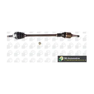 DS4206R BGA
