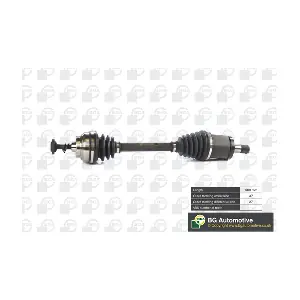 DS0903L BGA