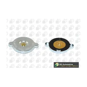 CC3054 BGA