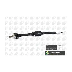 BGA DS1409RA