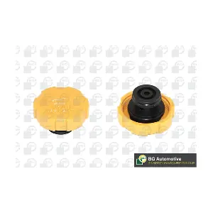 BGA CC3023