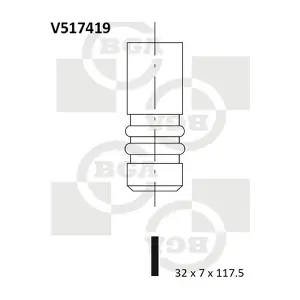 V517419 BGA