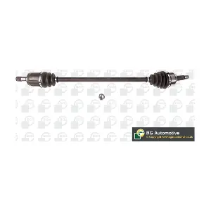 DS2524R BGA