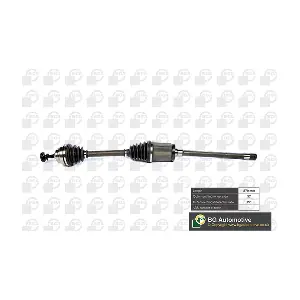 DS0902R BGA