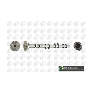 CS2405 BGA
