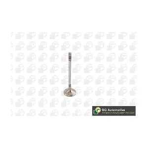 BGA V142049