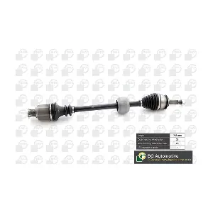 BGA DS1500R