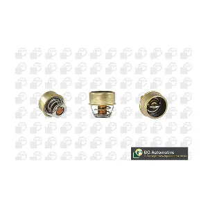 BGA CT5527
