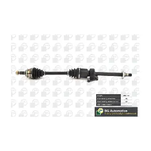 BGA DS0909RA