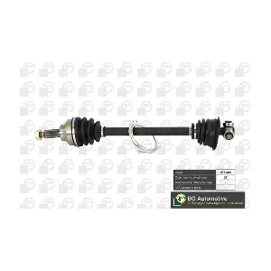 BGA DS7319L