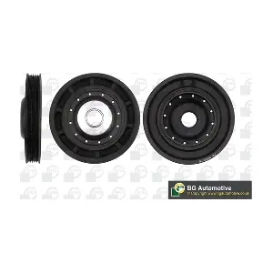 BGA DP0600