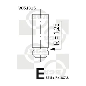 BGA V051315