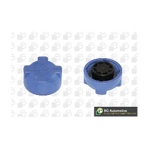 BGA CC3036