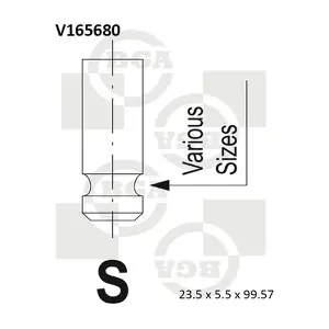 BGA V165680