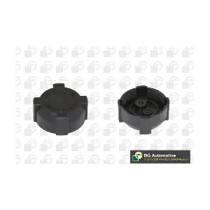 BGA CC3027