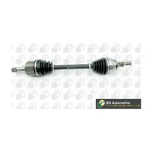 BGA DS2363L