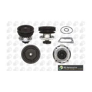 BGA CP2856
