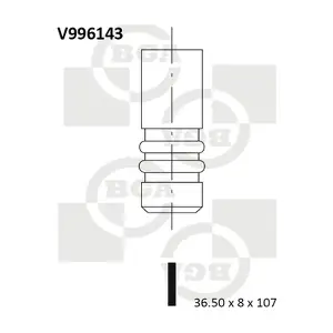 BGA V996143