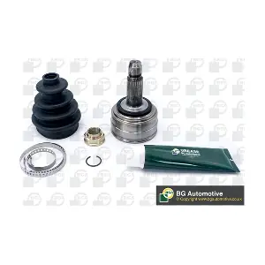 CV4205A BGA