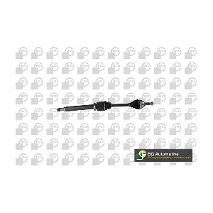 BGA DS2300R