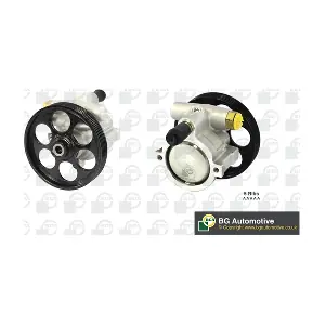 BGA PSP6305