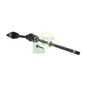 DS4202R BGA