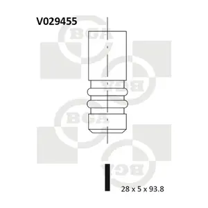 BGA V029455