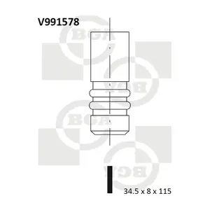 BGA V991578