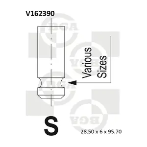 BGA V162390