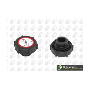 BGA CC3007