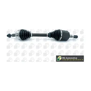 BGA DS2345L
