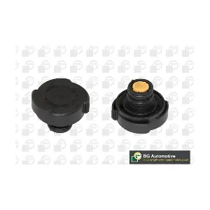 BGA CC3001
