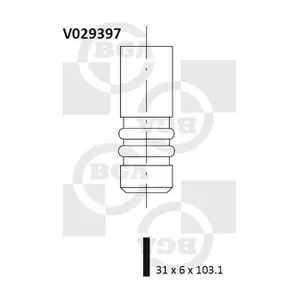 BGA V029397