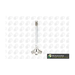 INTERMOTOR 3307 Выпускной клапан