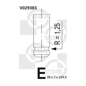 BGA V029383