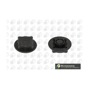 BGA CC3021